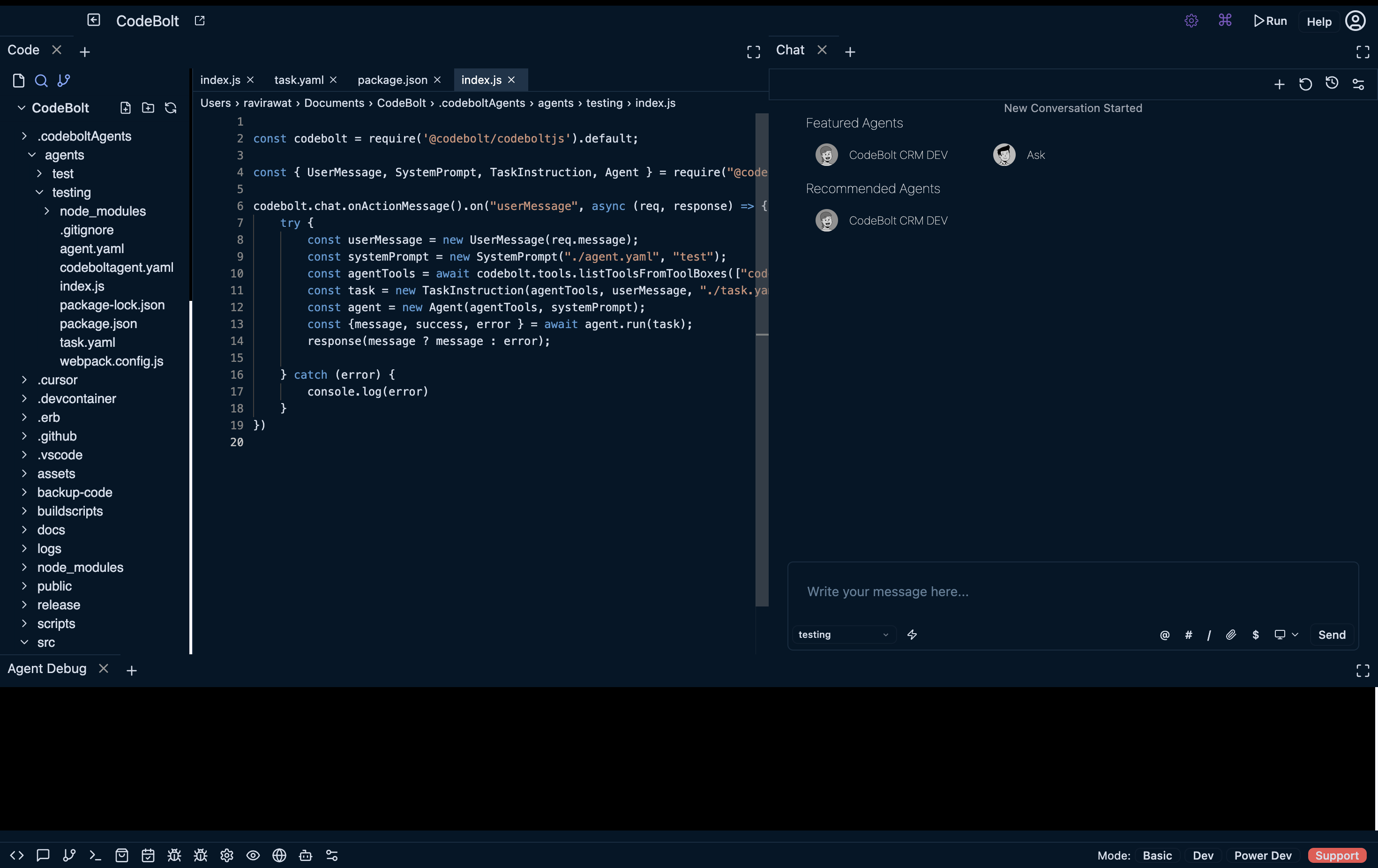 Debug Agent
